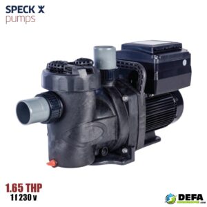 Bomba Badu Pro III UVS velocidad Variable 1.65THP conexiones en 2"